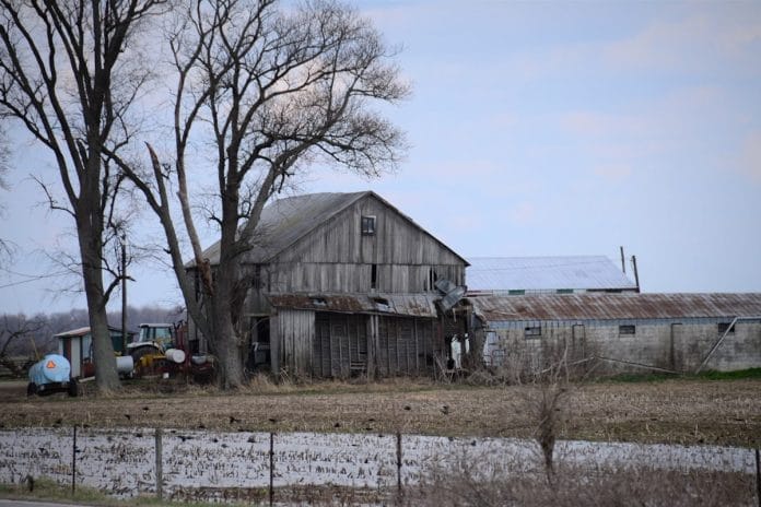 An older man in a work jacket holding a smartphone outside a weathered red barn in winter light