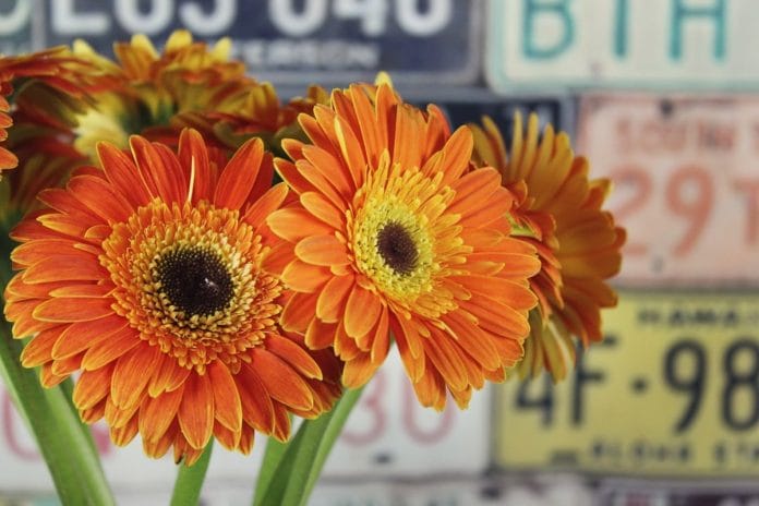 A small floral display near the front register of a rural gas station convenience store, picked nearly bare.