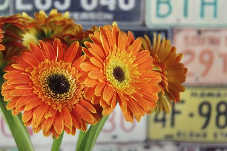 A small floral display near the front register of a rural gas station convenience store, picked nearly bare.