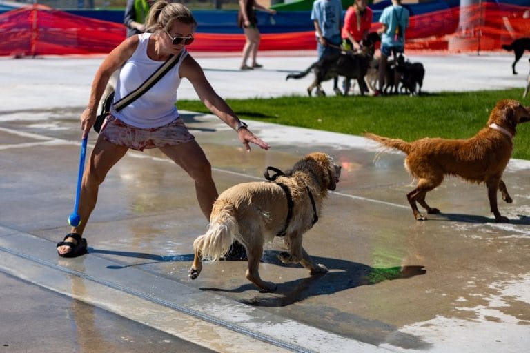 A municipal splash pad in a town park on a sunny summer morning, with shaded benches along the perimeter.